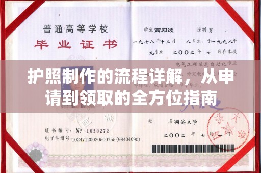 永仁护照制作的流程详解，从申请到领取的全方位指南
